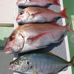 米丸 釣果