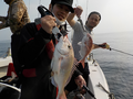 釣船　キティ 釣果
