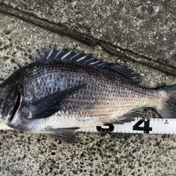 イチノ兄弟、釣果！