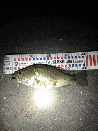 春って思ってるより難しい