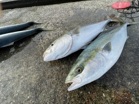 強風で大変でした