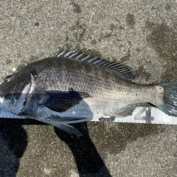 イチノ兄弟、釣果！