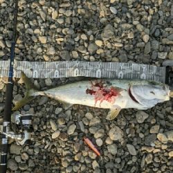 ワンチャンモノにした一発！