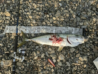 ワンチャンモノにした一発！