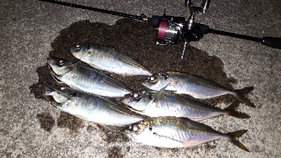 潮がたるいけどアジングは成立するのか