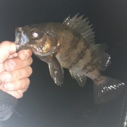 少し風ありますが行きます。