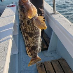 鳴門タイラバ！