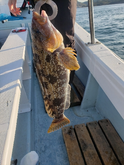 鳴門タイラバ！