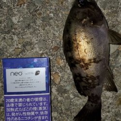 中潮微風大当り