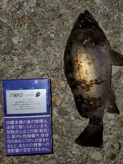 中潮微風大当り