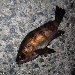 レクチャーパート２