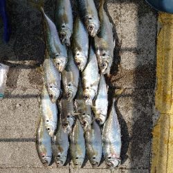 苦手なカゴ釣り