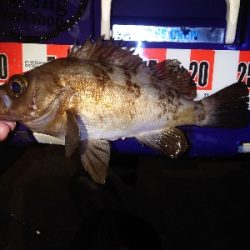 気持ちいい引き