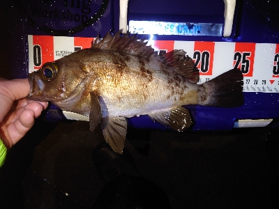 気持ちいい引き