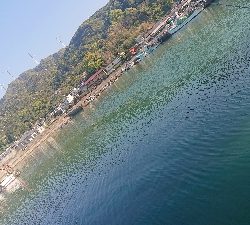 アジはいてるかな？