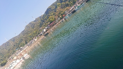 アジはいてるかな？