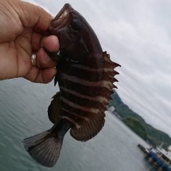 初めての釣り場に。