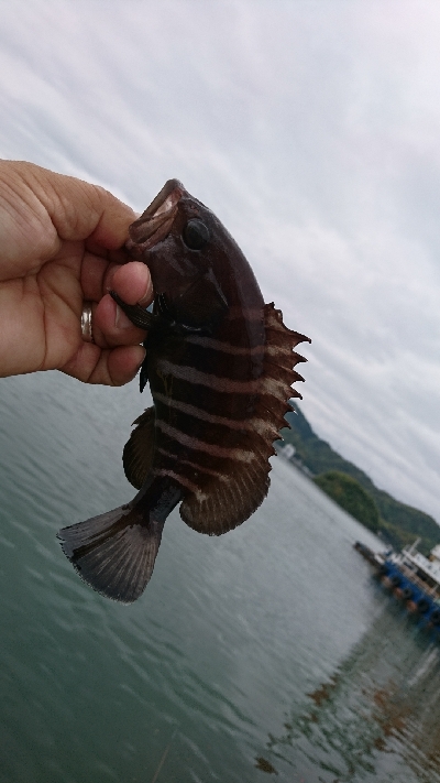 初めての釣り場に。