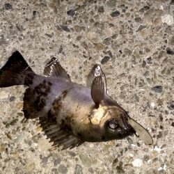 泣きながらかへる。