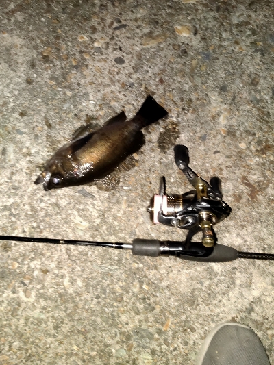 今日はいい感じ。