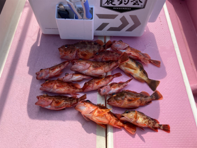 山下丸　カサゴ