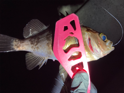 メバメバ好調！