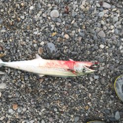 着水すぐのバイト！