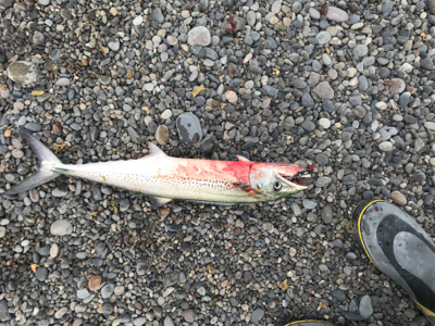 着水すぐのバイト！