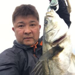 今日もボコボコ