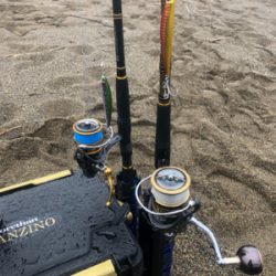 海サクラマスx2 ジグミノー　ワイルドボーイ28g