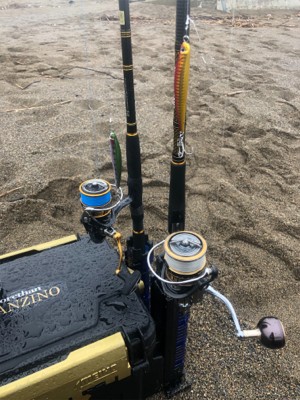 海サクラマスx2 ジグミノー　ワイルドボーイ28g