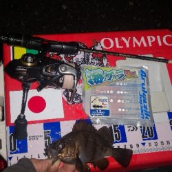 アジング練習　271