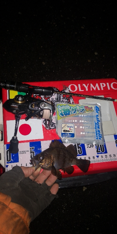 アジング練習 271