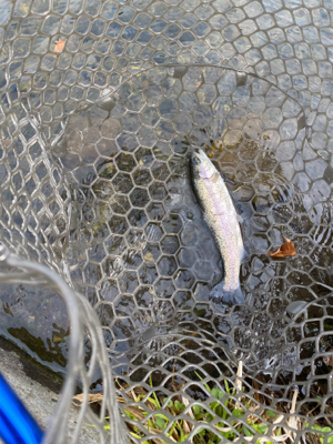 黒保根渓流フィッシング