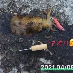 夕まずめギリギリで!