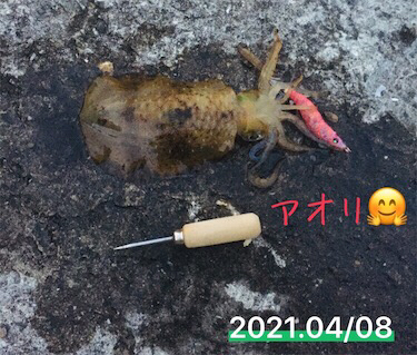 夕まずめギリギリで!