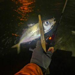 アジング練習　275 宵姫AJカスタムジグヘッド