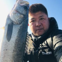 今日は渋かった