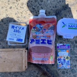 アジ、五目釣り