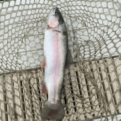 服部緑地、平日はガラガラですよ。