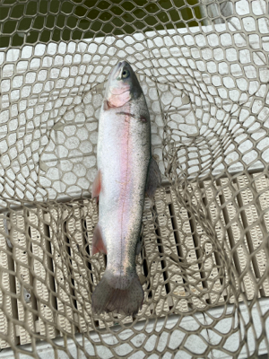 服部緑地、平日はガラガラですよ。