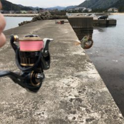 ライトゲームへ