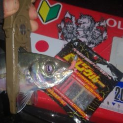 アジング練習 277