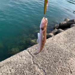 爆風の中エソンガー