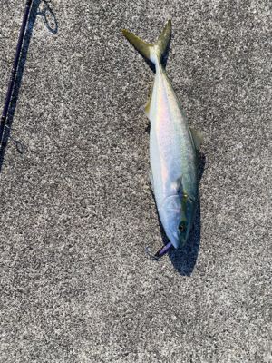 諦めかけた時に。。。