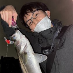 新河岸川 シーバス