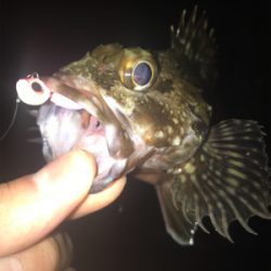 小雨が降る中の釣り