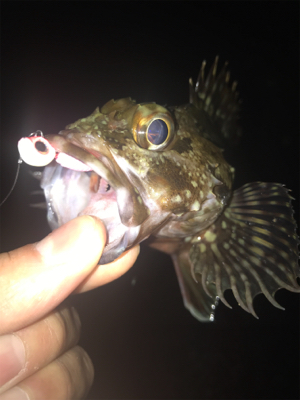 小雨が降る中の釣り