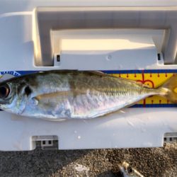 大きさは十分だけど