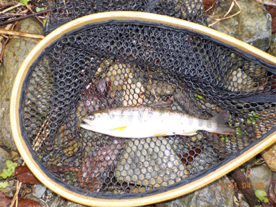 雨って聞いてないし